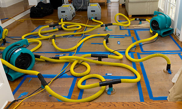 Professional Sewage Cleanup technician working in Dixfield, ME